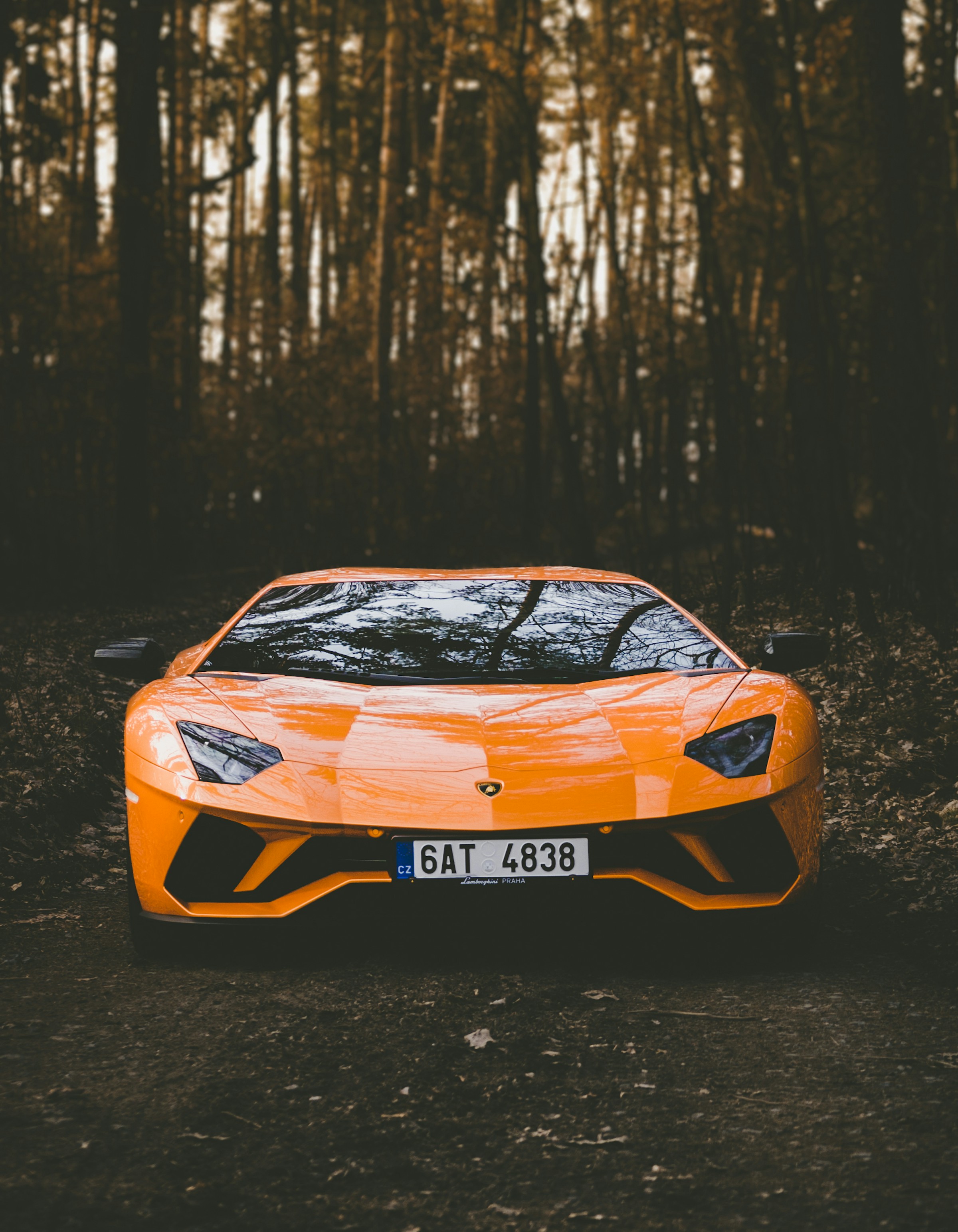 Orange Lamborghini Aventador with Czech registration in a forest